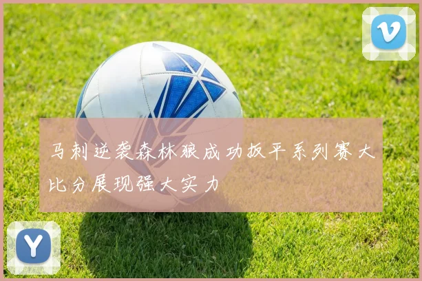 马刺逆袭森林狼成功扳平系列赛大比分展现强大实力