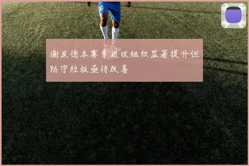 谢泼德本赛季进攻组织显著提升但防守短板亟待改善