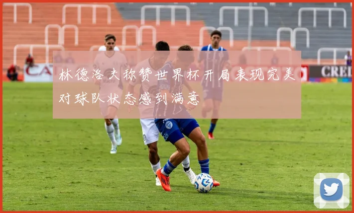 林德洛夫称赞世界杯开局表现完美对球队状态感到满意