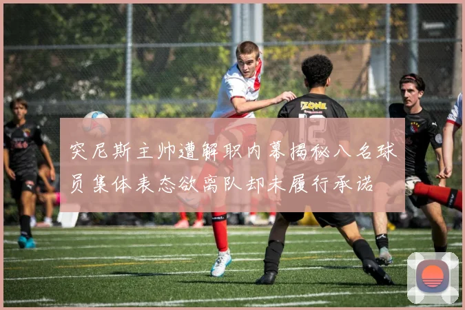 突尼斯主帅遭解职内幕揭秘八名球员集体表态欲离队却未履行承诺