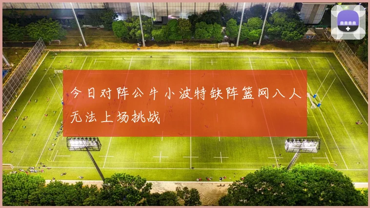 今日对阵公牛小波特缺阵篮网八人无法上场挑战