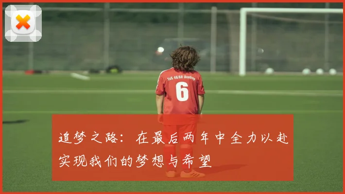追梦之路：在最后两年中全力以赴实现我们的梦想与希望