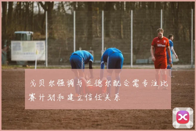 戈贝尔强调与兰德尔配合需专注比赛计划和建立信任关系